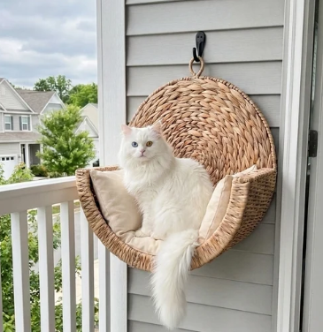 Lit suspendu CozyWhiskers
