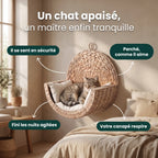 Un chat apaisé, un maître enfin tranquille - bénéfices du lit CozyWhiskers