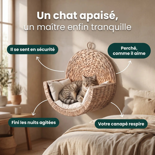 Un chat apaisé, un maître enfin tranquille - bénéfices du lit CozyWhiskers
