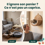 Avant et après l'installation du lit suspendu CozyWhiskers